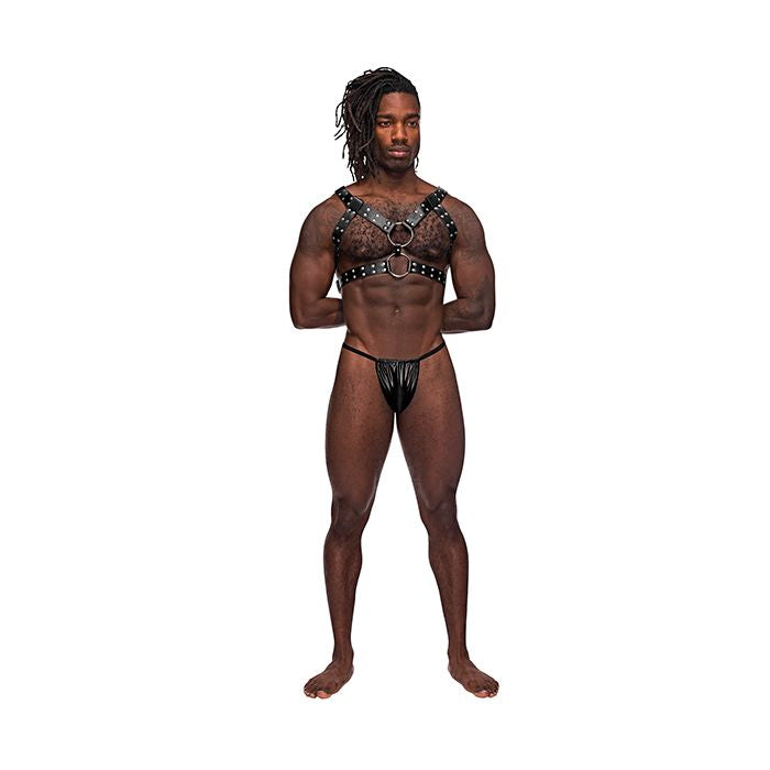 Leather Gemini Double Ring Harness Black O/S